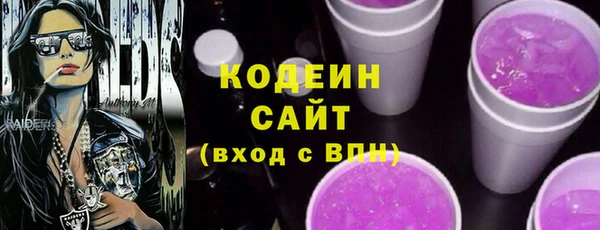 хмурый Аркадак