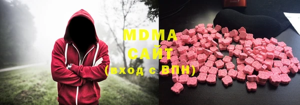 хмурый Аркадак