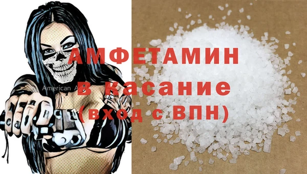 хмурый Аркадак