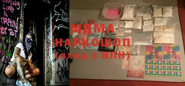 хмурый Аркадак