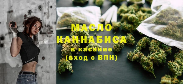 хмурый Аркадак