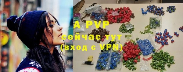хмурый Аркадак