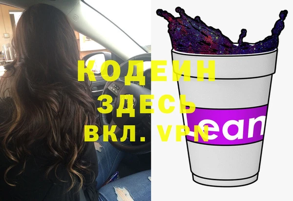 хмурый Аркадак
