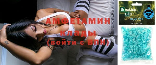 хмурый Аркадак