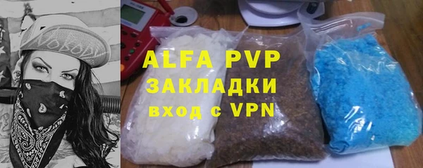 хмурый Аркадак
