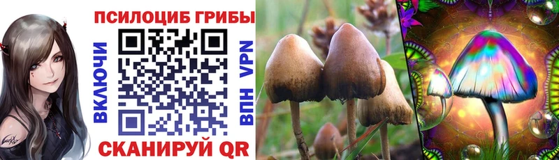 сколько стоит  Меленки  Галлюциногенные грибы мухоморы 